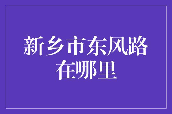 新乡市东风路在哪里