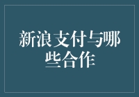 新浪支付：拓展多种合作模式，构建全面金融生态