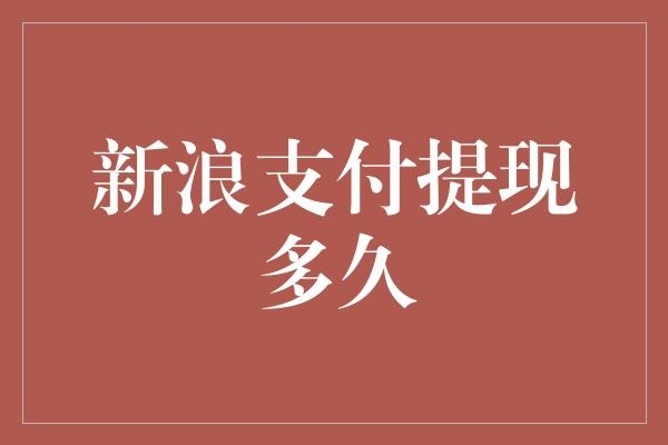 新浪支付提现多久