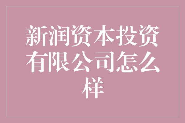 新润资本投资有限公司怎么样