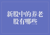 新股市场中的养老概念股及其投资潜力分析