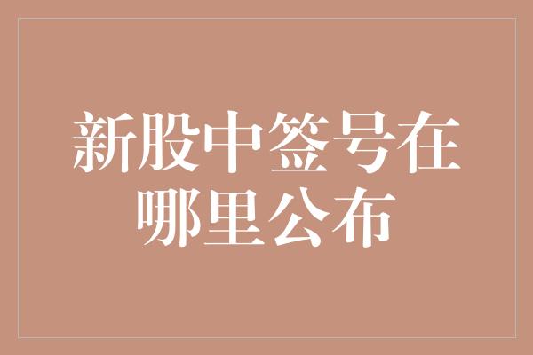 新股中签号在哪里公布