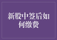 新股中签后的生死时速缴费指南：一场与时间赛跑的冒险