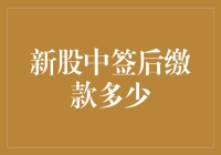 新股中签缴款指南：了解缴款的金额和注意事项