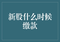 新股申购流程解析：缴款时机的重要性与策略