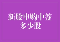 新股申购的奇妙旅程：中签后，你会拿到多少股？