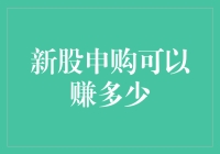 新股申购小白的逆袭：从猜谜到中签的奇妙旅程