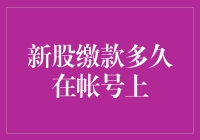 新股缴款多久在帐户上：从申购到到账的全过程解析