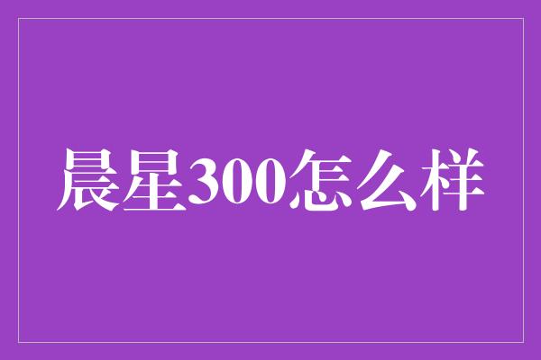 晨星300怎么样