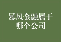 暴风金融，一个让你暴风哭泣的公司？