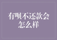 有呗不还款会带来哪些后果？