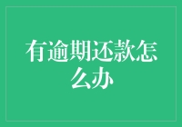 有逾期还款怎么办？别慌！这里有解决方法！