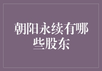 朝阳永续背后的金主大揭秘！你知道他们的秘密吗？