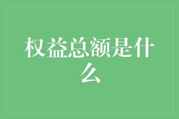 权益总额是什么