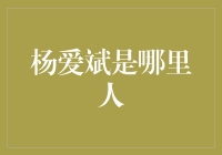 杨爱斌：吉林长春人的金融探索者与创新者