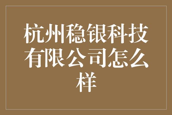 杭州稳银科技有限公司怎么样