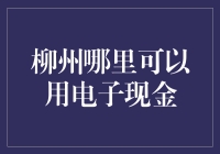 柳州使用电子现金的地方有哪些？