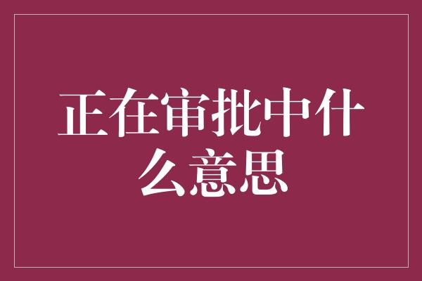 正在审批中什么意思