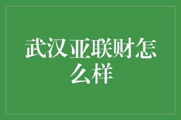 武汉亚联财怎么样