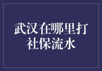 武汉社保流水查询攻略：一场寻找社保宝盒的冒险之旅