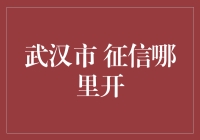 话说武汉：征信报告何处寻，办事指南请接招！