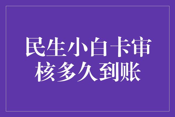 民生小白卡审核多久到账