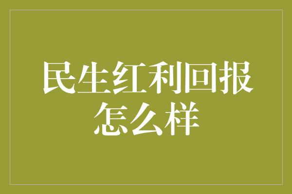 民生红利回报怎么样