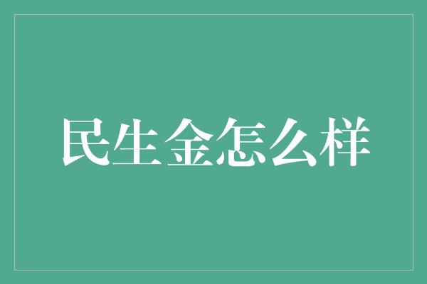 民生金怎么样