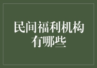 从民间温情到社会福祉：中国民间福利机构的价值与魅力