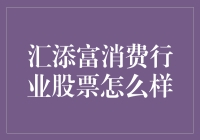 汇添富消费行业股票分析：亮点与挑战