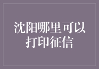 沈阳：征信报告打印大作战，一份报告引发的寻宝之旅