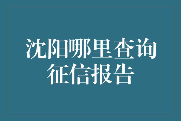 沈阳哪里查询征信报告