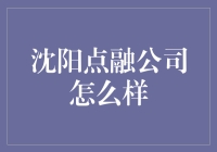 沈阳点融公司怎么样？带你揭秘这家公司的奇特之处