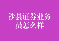 新手的疑问：沙县证券业务员到底怎么样？