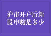 沪市新股申购规则解析：从开户到中签的深度指南