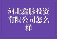 河北鑫脉投资有限公司到底好不好？