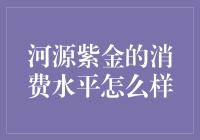 河源紫金：那些还没被紫过的消费生活