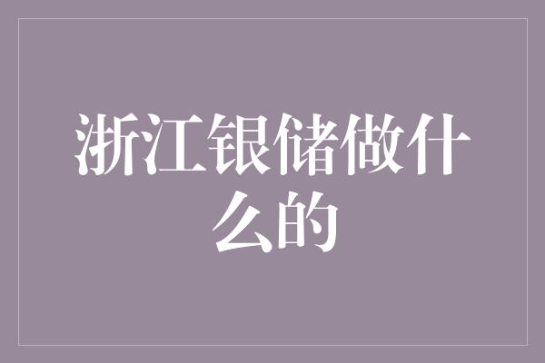 浙江银储做什么的