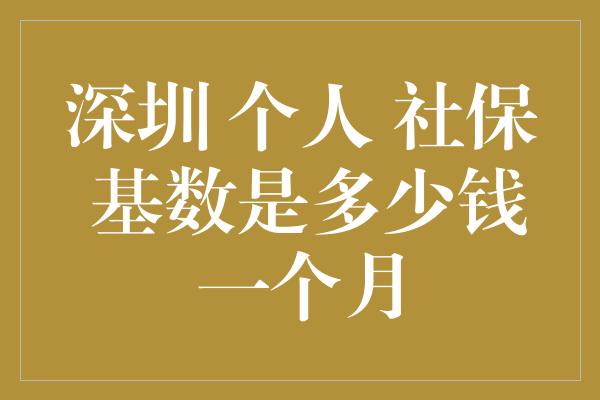 深圳 个人 社保 基数是多少钱一个月