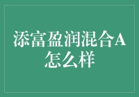 添富盈润混合A：稳健投资的优选方案解析