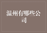 温州：孕育多元产业的创新热土——探寻温州的代表性企业