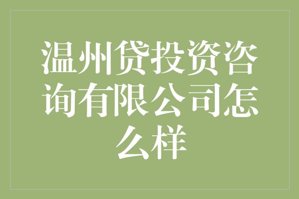 温州贷投资咨询有限公司怎么样