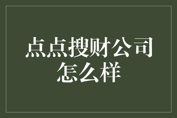 点点搜财公司怎么样