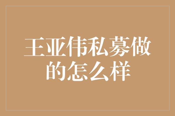 王亚伟私募做的怎么样