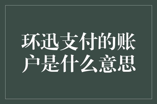 环迅支付的账户是什么意思