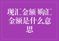 现汇金额与购汇金额：理解背后的意义