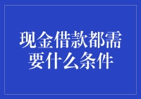 现金借款条件解析：解锁金融服务的多重维度