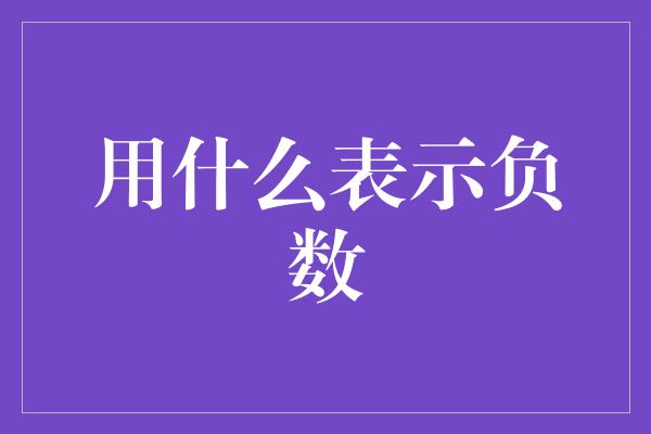 用什么表示负数