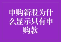 申购新股为何显示仅有申购款？解析背后的原因与操作流程