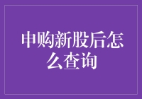 申购新股后查询攻略：如何轻松掌握新股申购后的动向